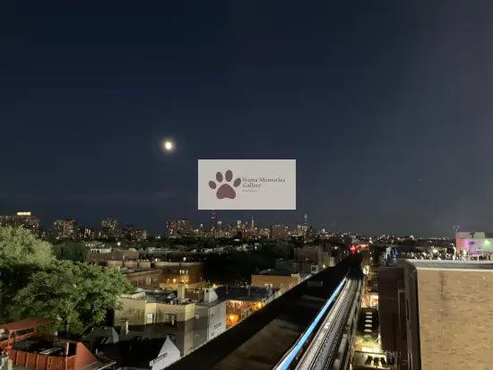 Chicago - Cub Game at the Rooftop - Digital Travel Photo Download