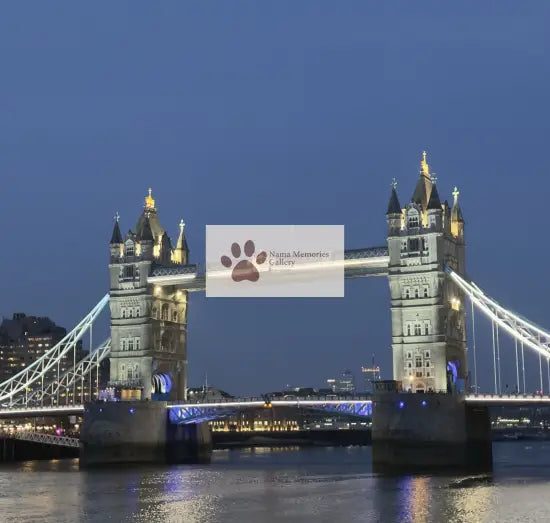 London - Tower Bridge Illuminates at Sundown