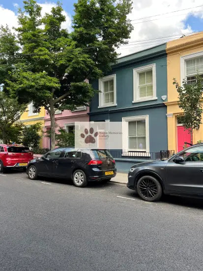 London- Tree Lined Colorful Houses at Notting Hill