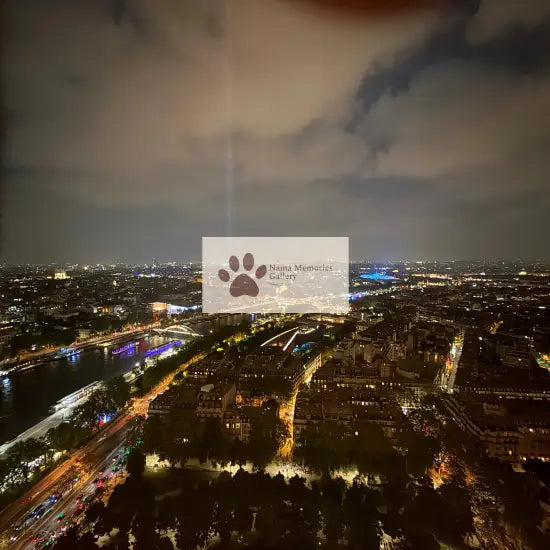 Paris - City of Lights from Eiffel Tower - Travel Digital Photo Image