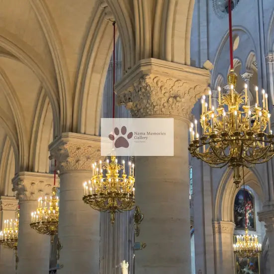 Paris - Nortre Dame Cathedral Heavenly Lights - Travel Digital Photo Image
