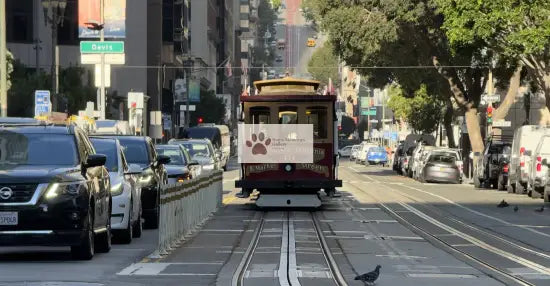 San Francisco Adorable Cable Car Peaceful Moment Travel Digital Photo