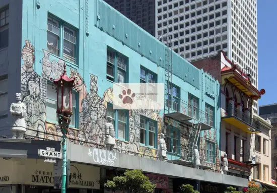 San Francisco - Chinatown Cultural Artistry - Digital Photo Download