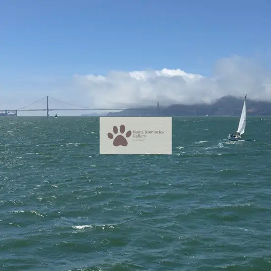 San Francisco Elegant Vista of the Bay Travel Digital Photo