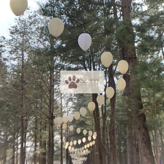 Seoul - Dreamy Nami Island