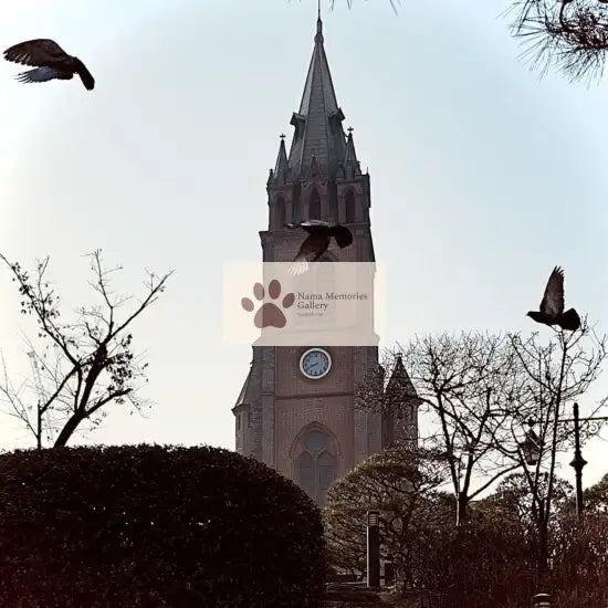 Seoul - First Brick Catholic Church