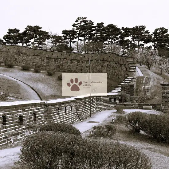 Seoul - Suwon Fotress