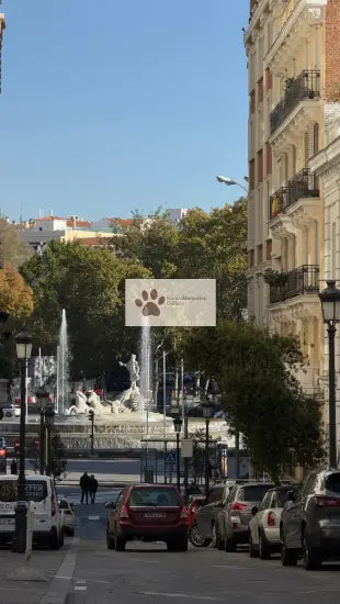 Spain - Old Street Looking at Neptune - Digital Photo
