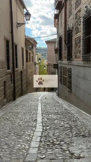 Spain - Toledo - Old Walls Alleyway - Digital Photo