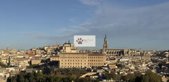Spain - Toledo’s Timeless Ancient - Digital Photo