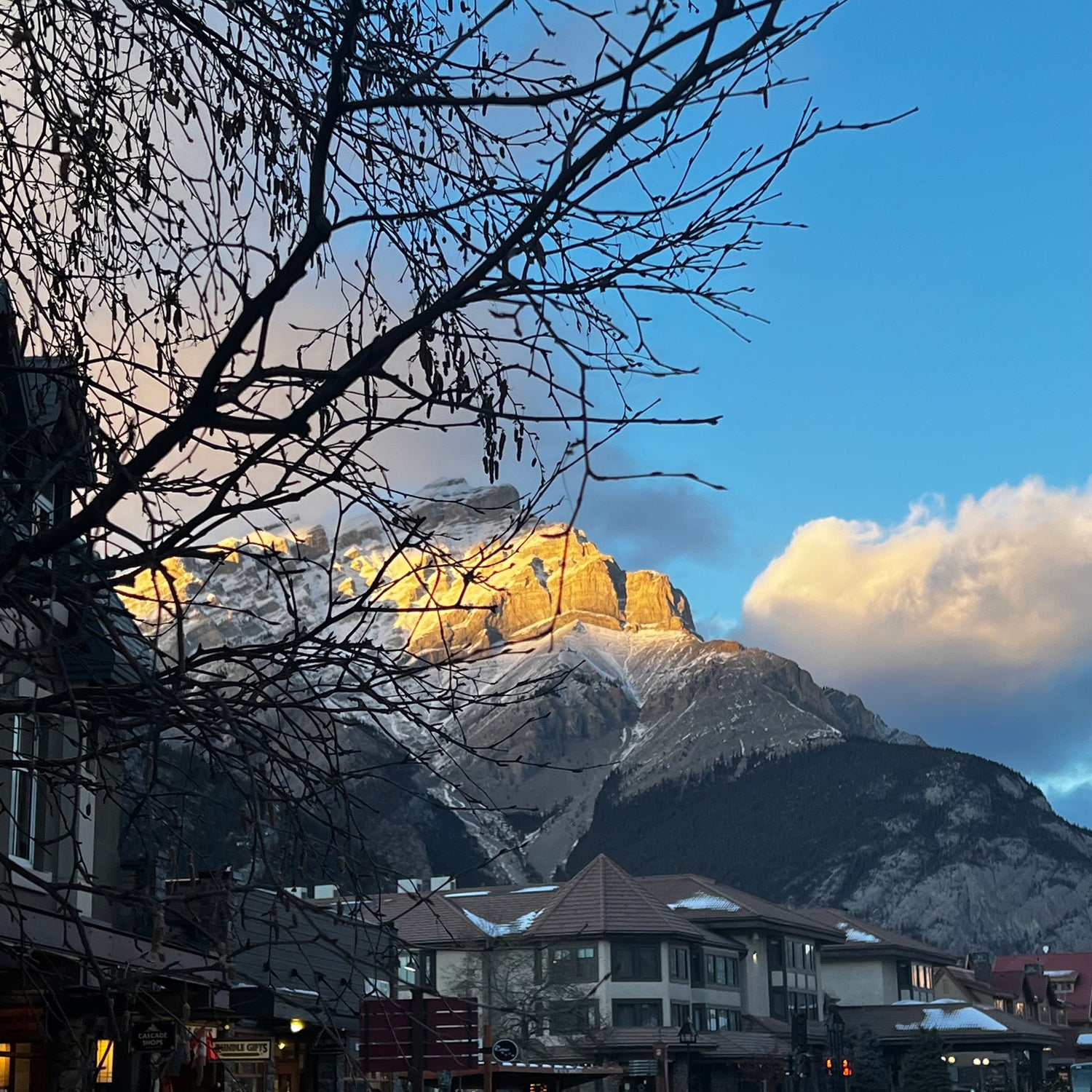 Banff - Magical Holiday Skiing in Winter Wonderland | Collection