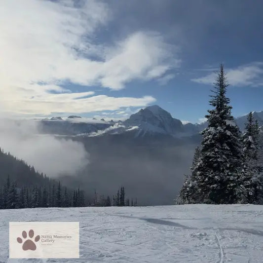 Banff Lake Louise - Breathtaking Mountain