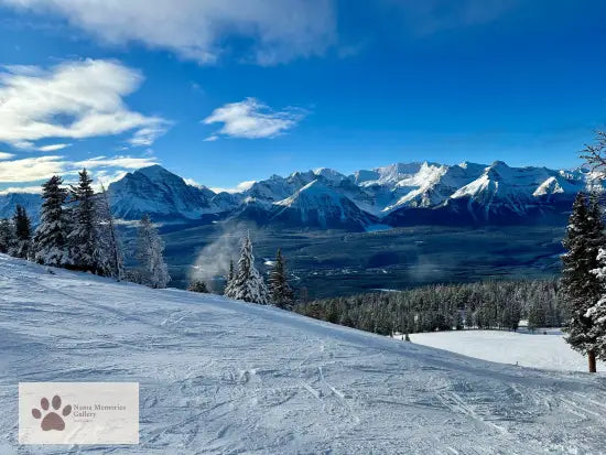 Banff - Lake Louise Green And White