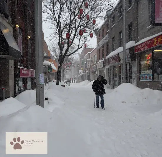 Blizzard Snowstorm in Montreal: A Winter Tale