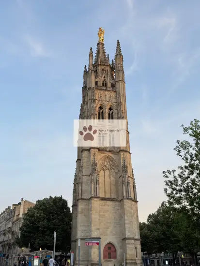 Bordeaux - Morning Street Car | Place Pey - Berland (Bell Tower) - Digital Photo Download