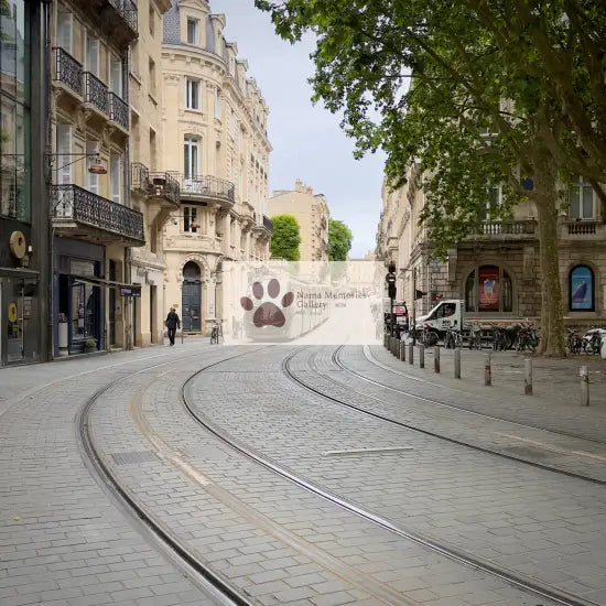 Bordeaux - Morning Street Car | Place Pey - Berland (Bell Tower) - Digital Photo Download