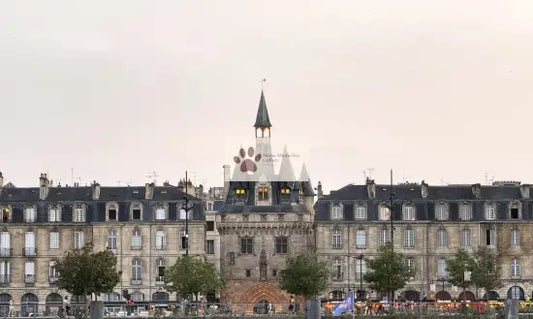 Bordeaux - Porte Cailhau (Medieval City Gate) - Digital Photo Download