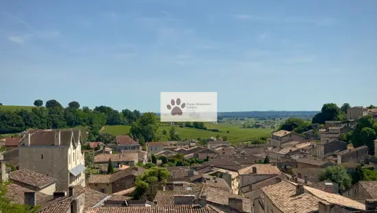 Bordeaux - Saint-Emilion Wine Valley Vista - Digital Photo Download