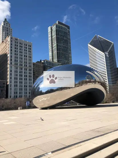 Chicago - Bean with Just a Pigeon - Digital Travel Photo Download