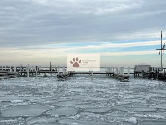 Chicago - Frosty Charm of Lake Michigan - Digital Travel Photo Download
