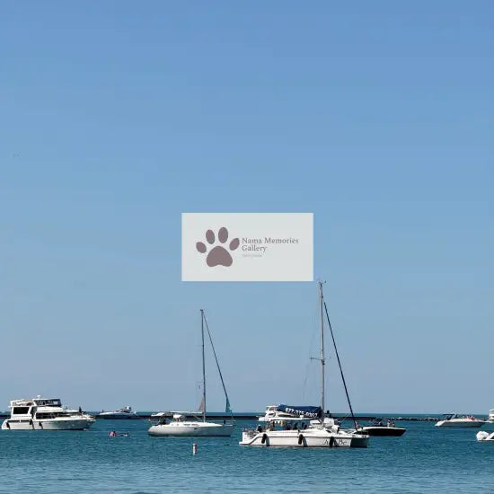 Chicago - Lake Michigan Shimmering with Boats - Digital Travel Photo Download