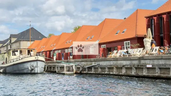 Copenhagen - City of Water with Peace and Beauty - Digtial Photo Download