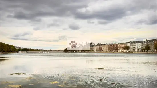 Copenhagen - Magic Dusk Waterfront Skyline - Digital Photo Download