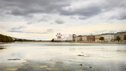 Copenhagen - Magic Dusk Waterfront Skyline - Digital Photo Download