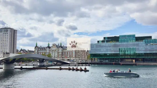 Copenhagen - Modern Elegant Architectural Design - Digital Photo Download