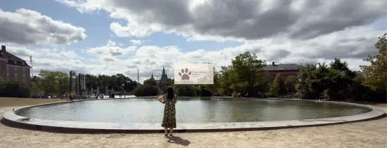 Copenhagen - Reflection - Statens Museum/Rosenburg Castle -Digital Photo Download