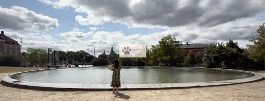 Copenhagen - Reflection - Statens Museum/Rosenburg Castle -Digital Photo Download
