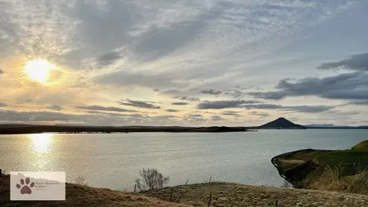 Iceland (Akureyi) - Calming Sunset