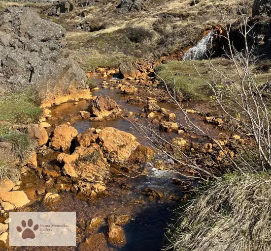 Iceland (Akureyi) - Infusing Stream