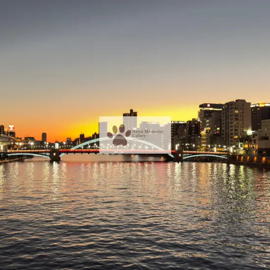 Japan - Azuma Bridge - Tokyo Sunset - Digital Photo