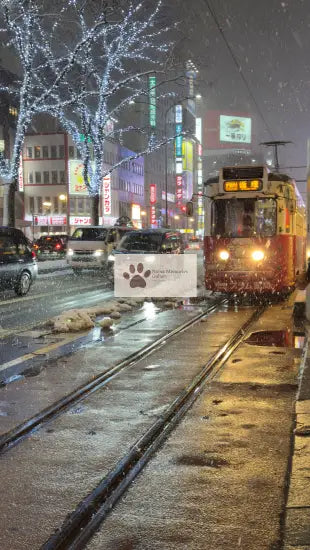 Japan - Dancing Snowflakes - Sapporo - Digital Photo