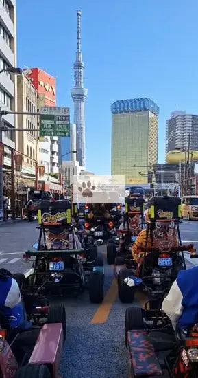Japan - Karting in Tokyo - Digital Photo