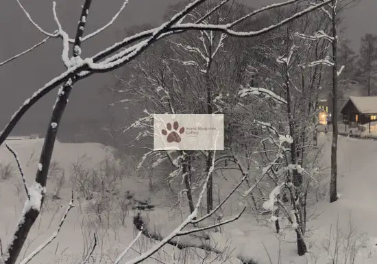Japan - Stillness Winter Beauty - Niseko Ski - Digital Photo