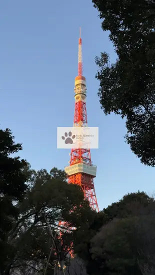 Japan - Tokyo Tower - Digital Photo