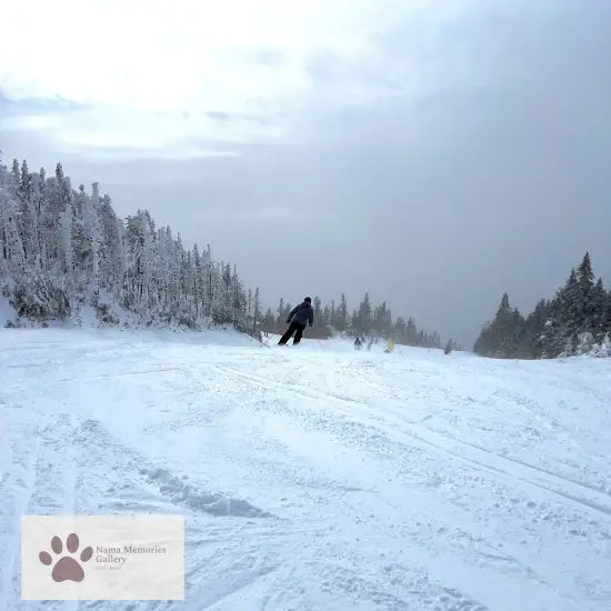 Mont Tremblant Pristine Skiing - Sooth Your Soul and Mind