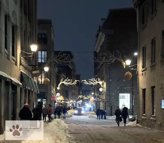 Montreal Streets at Night: Lights Bars & Lively Music