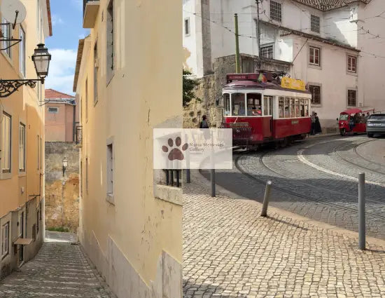 Portugal - Charming Red Tram Roaming on Cobble Stone - Travel Digital Photo