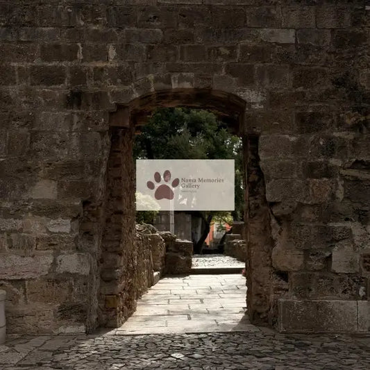 Portugal - Garden of Sao Jorge Castle - Travel Digital Photo