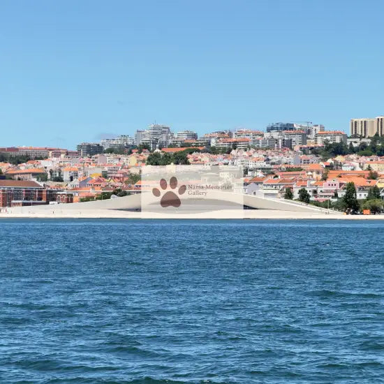 Portugal - Lisoba Waterfront Sailing Travel Digital Photo