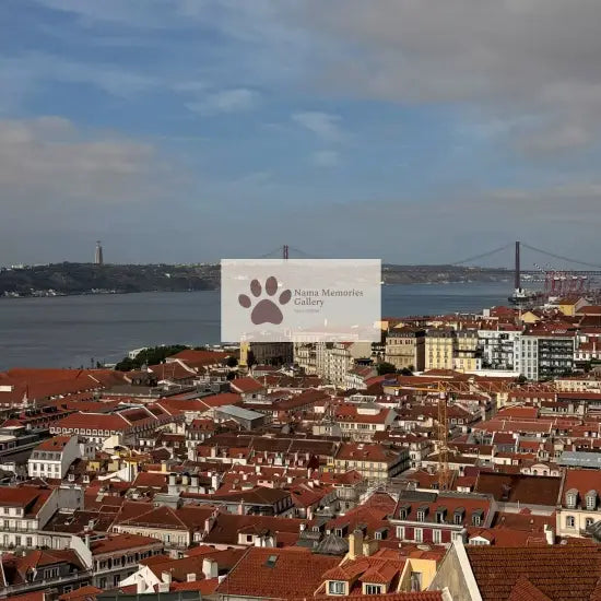Portugal - View of Lisbon from Castelo de Sao Jorge’s Vicinity - Travel Digital Photo