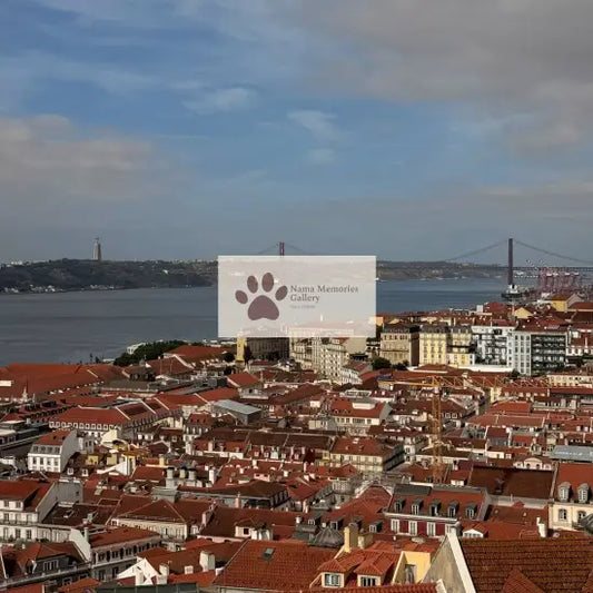 Portugal - View of Lisbon from Castelo de Sao Jorge’s Vicinity - Travel Digital Photo