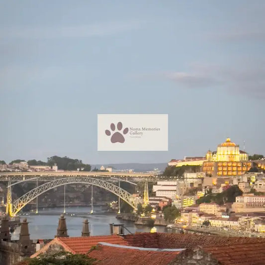 Portugal - Winery view of Porto at Sunset - Travel Digital Photo