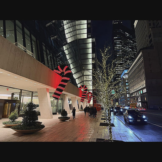 My Hometown New York City - Christmas Special NOT FOR SALE