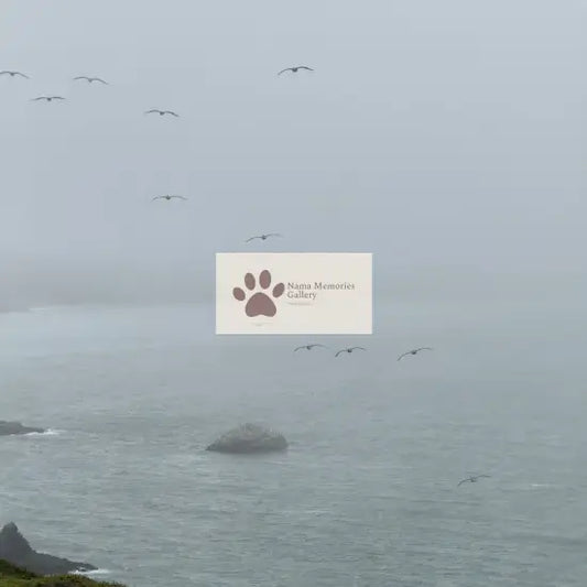 San Francisco Golden Gate Bridge Mystified Fog Travel Digital Photo