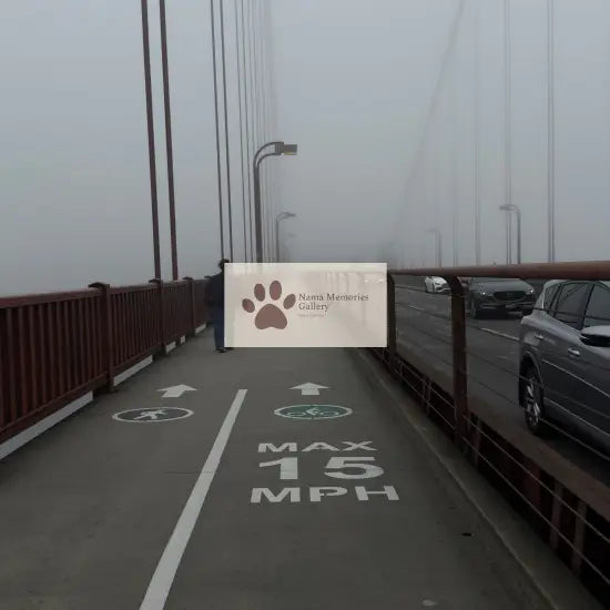 San Francisco Golden Gate Bridge Mystified Fog Travel Digital Photo