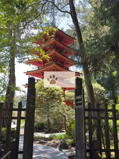San Francisco - Japanese Tea Garden (Golden Gate Park) - Digital Photo Download